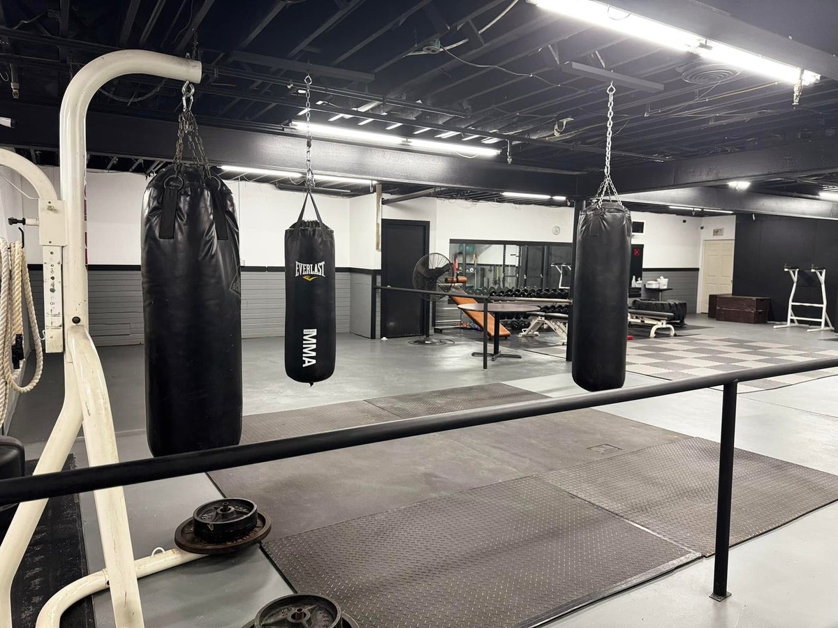 Modern boxing and fitness gym interior with heavy punching bags hanging from ceiling beams, padded floor, and training equipment