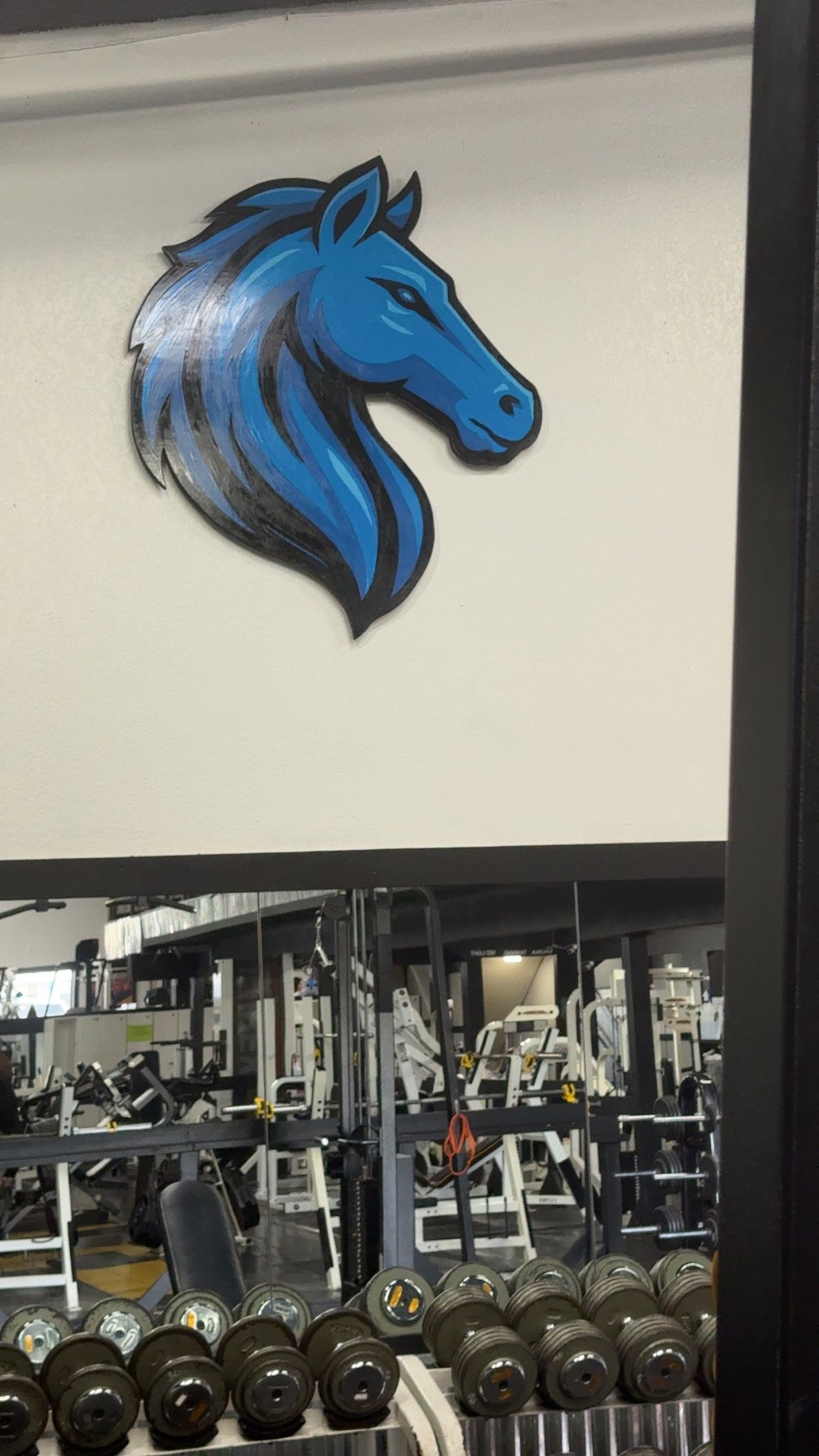 Blue horse head logo on white wall above gym interior with dumbbells and exercise equipment